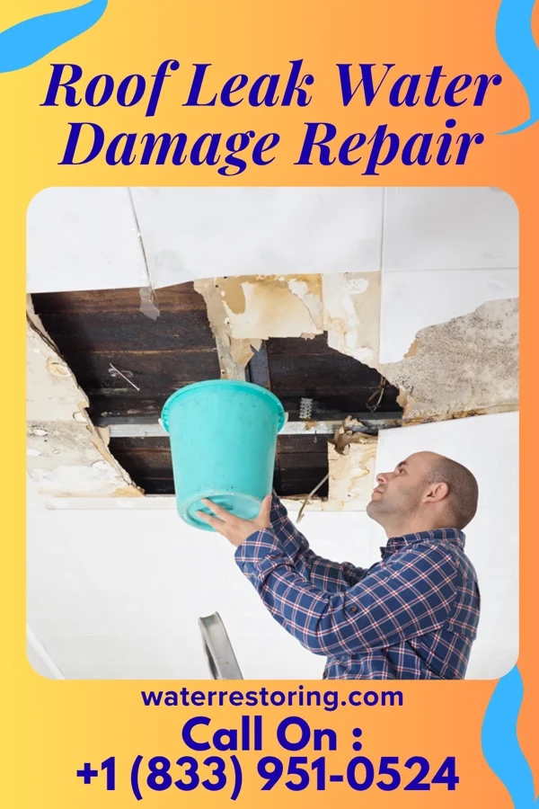 Roof Leak Water Damage Repair in Garden City, ID